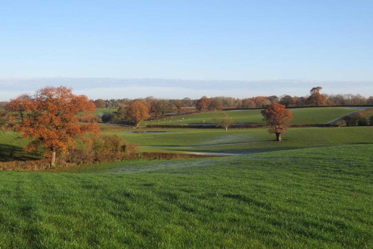 Archers Meadow Shropshire Ellesmere Buitenkant foto
